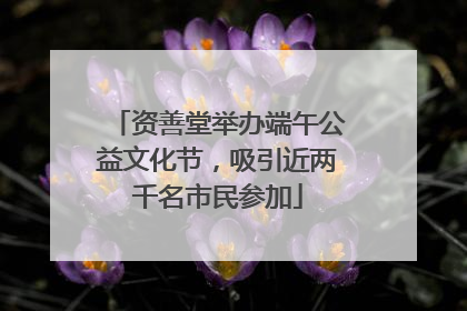 资善堂举办端午公益文化节，吸引近两千名市民参加